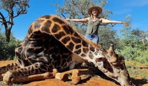 Cette chasseuse de trophées pose fièrement avec le coeur d'une girafe qu'elle vient d'abattre