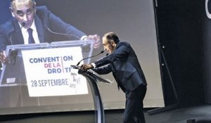 Zemmour président : ce qui changerait en France