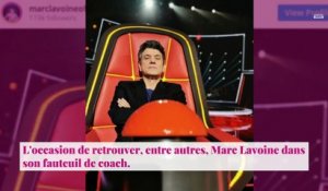 The Voice 2021 - Marc Lavoine : le mystère autour de ses lunettes enfin dévoilé