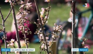 Santé : retour précoce des allergies au pollen