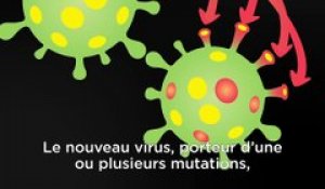 Pastille 2 - Vaccins : pourquoi les virus ont-ils des variants ?