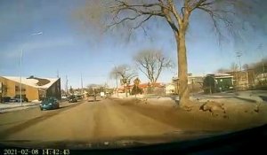 Un panneau routier tombe sur une voiture
