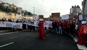 Manifestation des sages-femmes dans les rues de Grenoble le 8 mars, journée internationale pour le droit des femmes