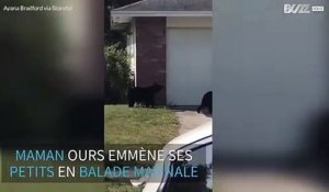 La famille Ours en balade dans un quartier de Floride