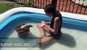 Une modèle australienne joue avec ses rats domestiques