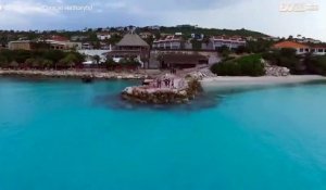 Un drone filme un rorqual de Bryde en plein repas au Curaçao