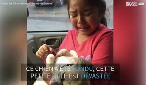 Cette petite fille fond en larmes en constatant la nouvelle tonte de son chien