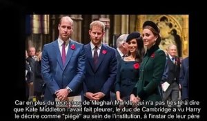 William « piégé » dans la famille royale, ces mots de Harry qui résonnent douloureusement