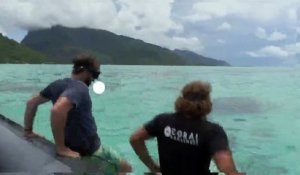 [BA] Échappées belles - Polynésie, un paradis bleu - 27/03/2021