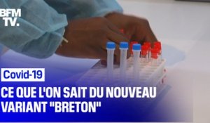 Variant "breton": 3 questions au chef du service des maladies infectieuses du CHU de Rennes