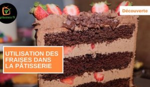 Découverte : Utilisation des fraises dans la pâtisserie