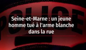 Seine-et-Marne : un jeune homme tué à l'arme blanche dans la rue
