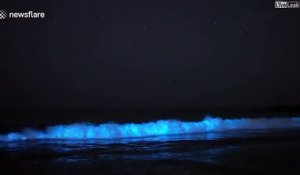 Images magnifiques de vagues bioluminescentes en Californie
