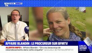 Affaire Magali Blandin: le procureur de Rennes "assume publiquement" d'avoir classé la plainte de la victime pour violences conjugales