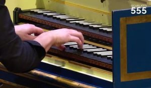 Scarlatti : Sonate pour clavecin en fa mineur K 386 L 171 (Presto), par Paolo Zanzu - #Scarlatti555