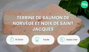 Terrine de saumon de Norvège et noix de Saint Jacques