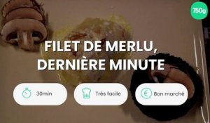 Filet de Merlu, dernière minute