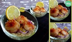 Verrine de Risotto au citron et aux St Jacques