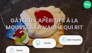 Gâteaux apéritifs à la mousse à la Vache qui rit