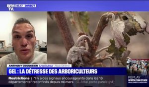 Cet arboriculteur témoigne de ses "100% de pertes" à cause du gel et assure que les aides lui seront "indispensables"