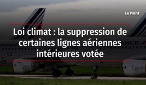 Loi climat : la suppression de certaines lignes aériennes intérieures votée