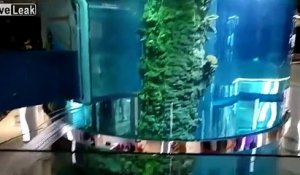 Un aquarium géant de 24m de haut a une énorme fuite dans un supermarché