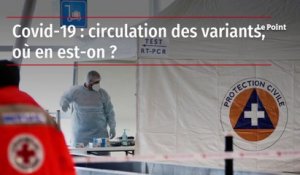 Covid-19 : circulation des variants, où en est-on ?