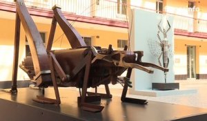 Au Familistère de Guise, Anima(ex) Musica, l'exposition d'insectes géants qui donne une seconde vie aux instruments