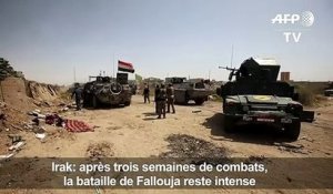 Irak: la bataille de Fallouja reste intense