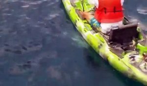Ce pecheur en kayak se fait retourner par un requin en pleine mer