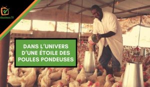 Burkina Faso : Dans l’univers d’une étoile des poules pondeuses