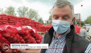 Orne : un agriculteur organise une grande braderie de pommes de terre pour écouler son stock