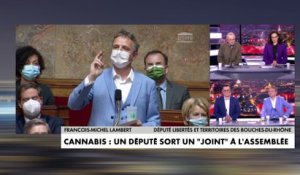 Cannabis : un député sort un joint à l'Assemblée nationale