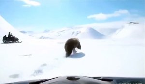 Il suit un ours en motoneige et va le regretter