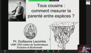 Tous cousins : comment mesurer la parenté entre les espèces ?