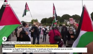 Manifestation pro-palestinienne à Montpellier du samedi 15 mai 2021
