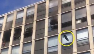 Un chat saute du 4e étage d'un immeuble en feu