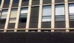 Chute D Un Chat Sur Orange Videos