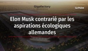 Elon Musk contrarié par les aspirations écologiques allemandes