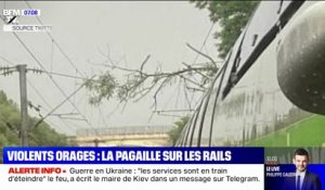 Violents orages: trafic interrompu sur la ligne Creil-Paris Nord à cause d'un arbre tombé sur les installations électriques