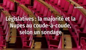 Législatives : la majorité et la Nupes au coude-à-coude, selon un sondage