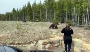Elle risque sa vie pour un selfie avec un ours