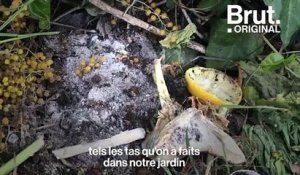 Tuto : faire un compost dans son jardin