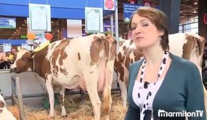 Marmiton au Salon de l'Agriculture : une visite inédite