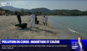 Des boulettes d'hydrocarbures continuent d'arriver sur les plages de Corse