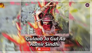 Gulaab Jo Gul Aa | Aamir Sindhi | Super Hit Sindhi Song | Sindhi Gaana