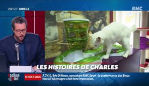 «Les histoires de Charles Magnien » : Les animaux pronostiqueurs pour l'Euro - 17/06