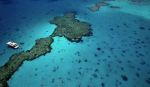 Unesco : la Grande Barrière de corail bientôt classée site « en danger » ?