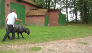 Wotan Wilke Möhring wird Vater in 'Kleine Ziege, sturer Bock'