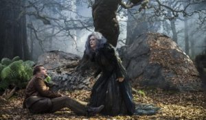 'Into The Woods': der Trailer in HD